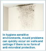 Mould on Walls and Ceilings