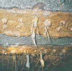 Corrosion Of Ferrous Metals In Aggressive Sewer Environments