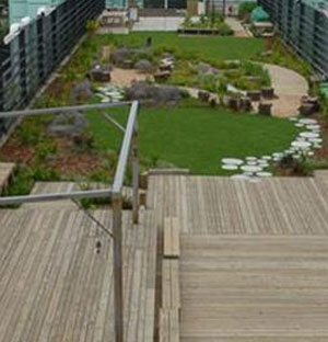 Flexcrete's waterproofing system specified for green roof waterproofing on an area of 725m² at Australian International School in Hong Kong.