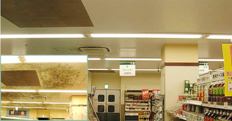 Biodex Sheen Hygiene Coating Protects Supermarket in Japan