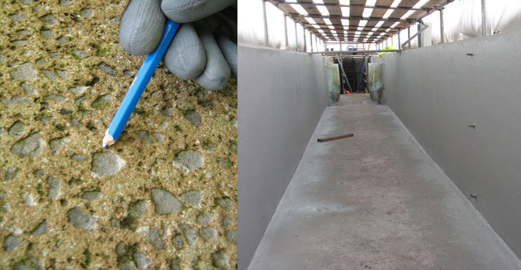 Repair and Protection of Concrete on BAFF Treatment Tanks