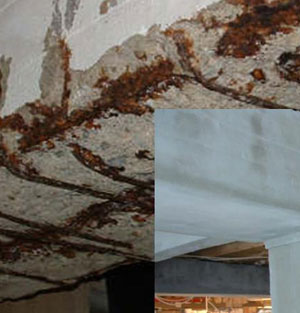 Concrete Repair & Protection to arrest Salt Induced Corrosion