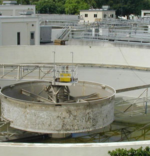 The Protection of Concrete at City of Dunedin Wastewater Treatment Works in Florida