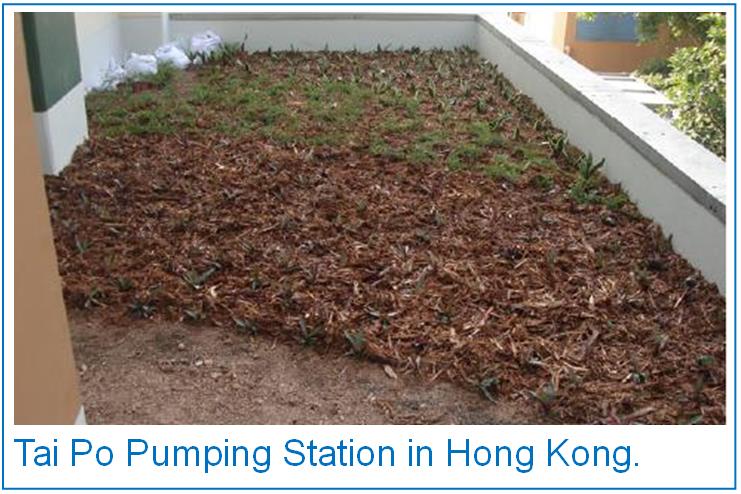 Tai Po Pumping Station