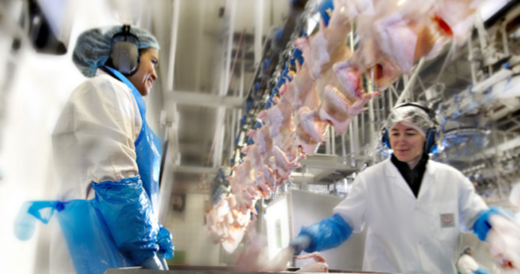 Flexcrete's anti-microbial coatings provide hygienic protection of internal walls at HKScan’s meat processing plants in Kristianstad & Linköping, Sweden.