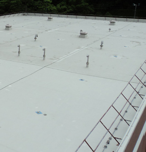 Roof Waterproofing Protection in Hong Hong