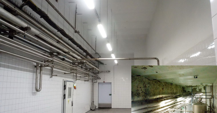 Hygienic Refurbishment for Ostravar Brewery in Czech Republic