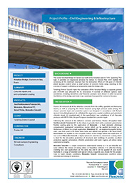 Venetian Bridge Project Profile